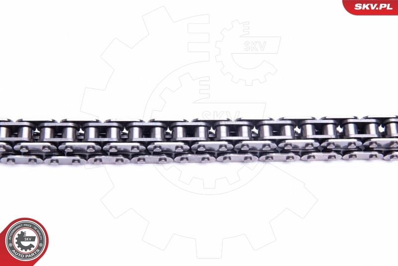 Timing Chain Kit 21SKV215