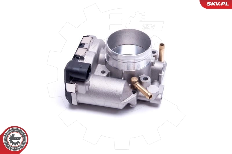 Throttle Body 12SKV114