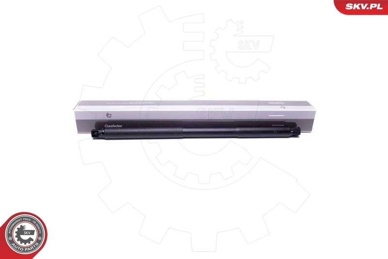 Electric Motor, tailgate 52SKV947