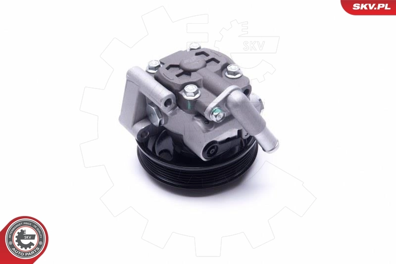 Hydraulic Pump, steering 10SKV309