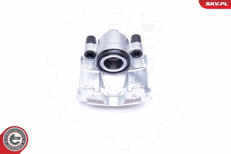 Brake Caliper 42SKV682