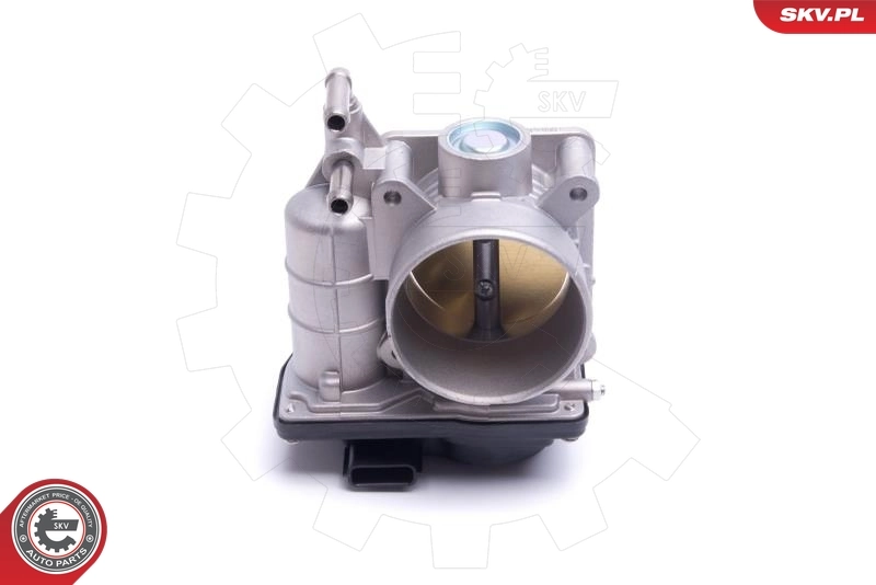 Throttle Body 12SKV122