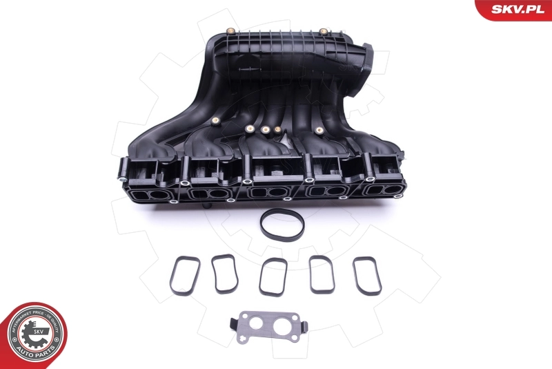 Intake Manifold Module 49SKV012