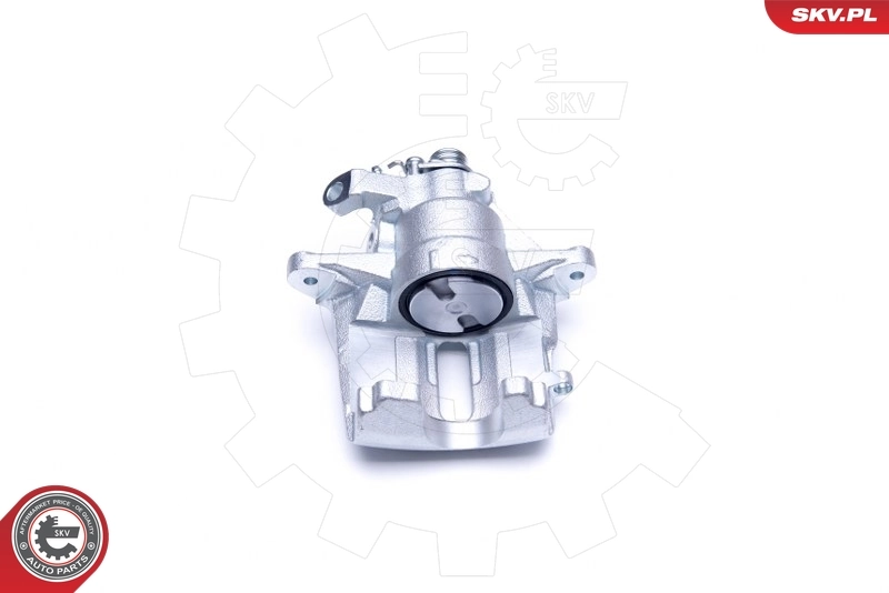 Brake Caliper 42SKV911