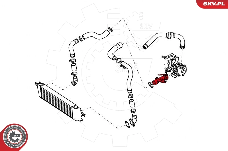 Charge Air Hose 24SKV656