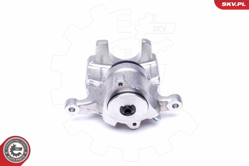 Brake Caliper 44SKV034