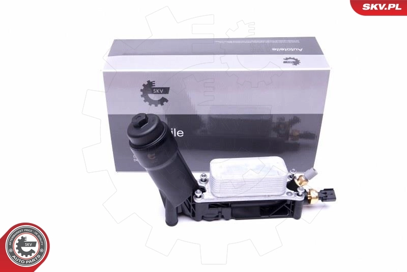 Oil Cooler, engine oil 31SKV172