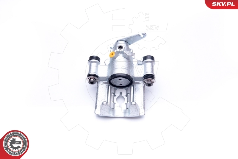 Brake Caliper 42SKV384