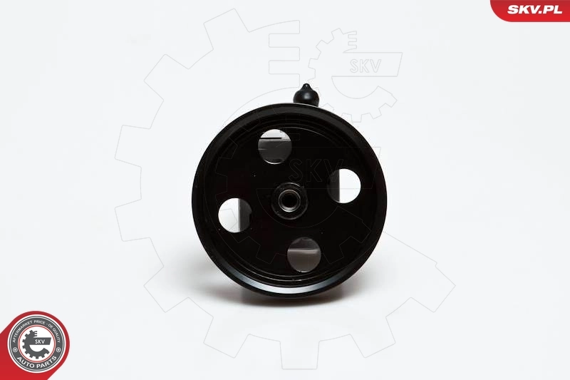 Hydraulic Pump, steering 10SKV176