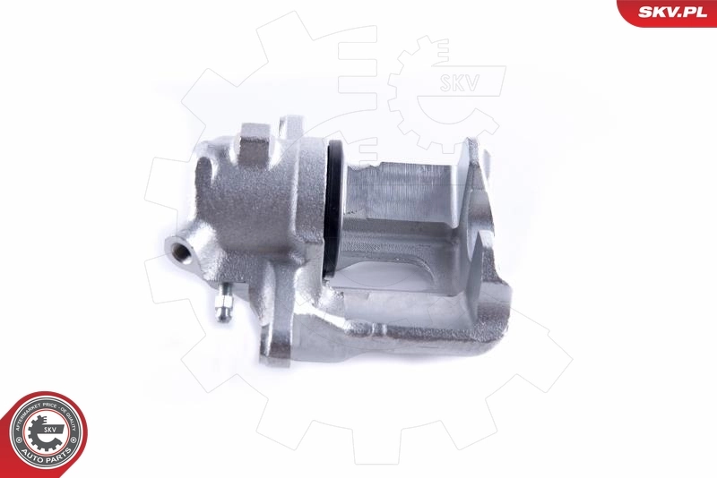 Brake Caliper 55SKV051