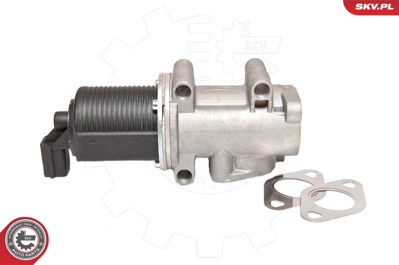 EGR Valve 14SKV055