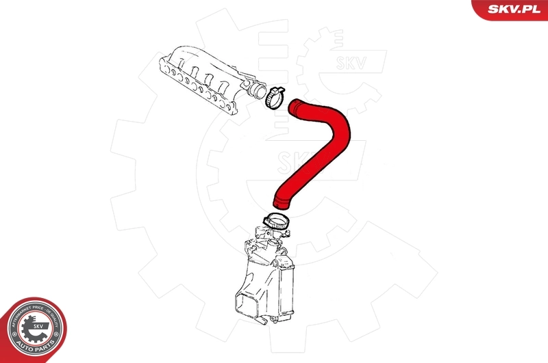 Charge Air Hose 43SKV074