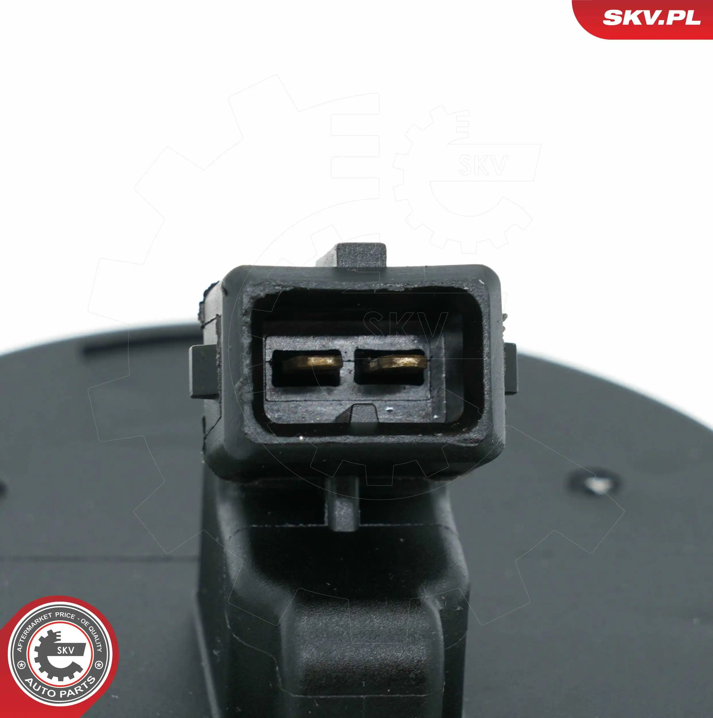 Wheel Bearing Kit 29SKV555