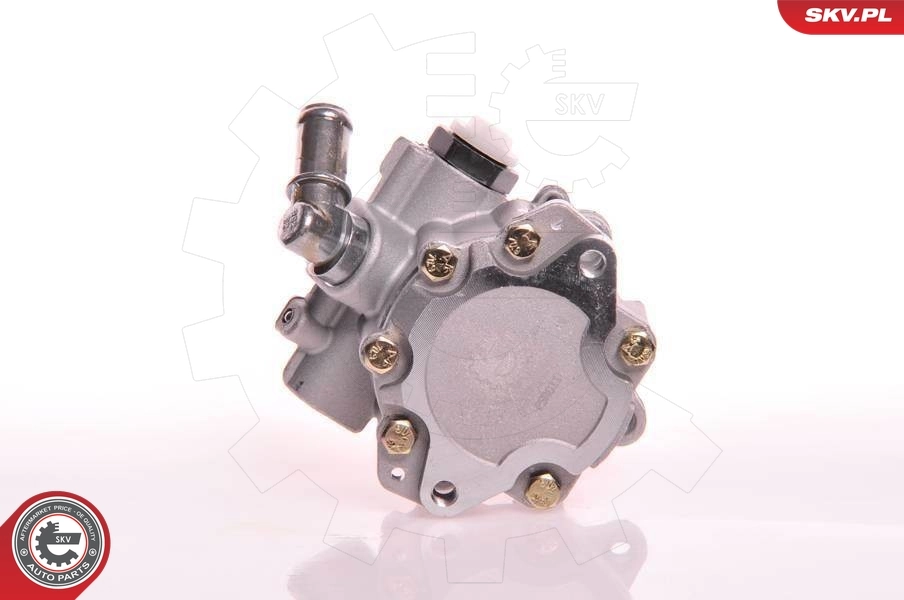 Hydraulic Pump, steering 10SKV105