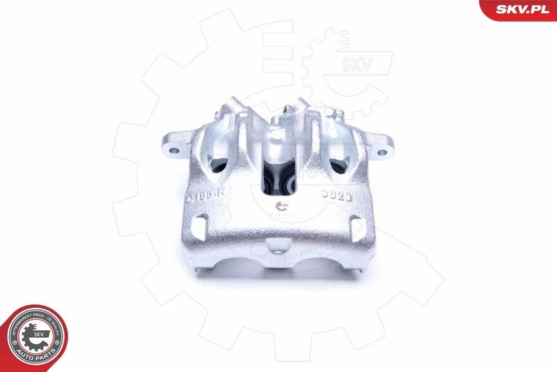 Brake Caliper 42SKV712