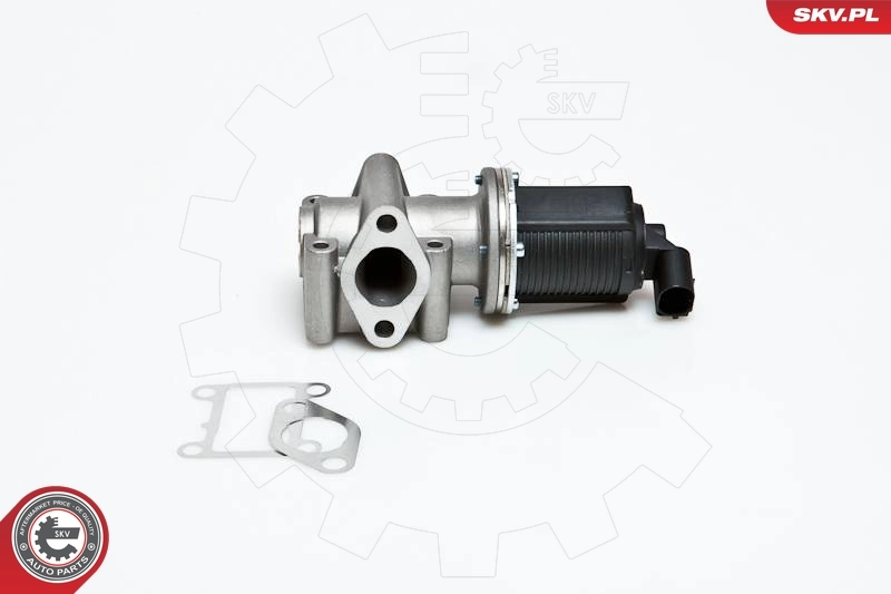 EGR Valve 14SKV012