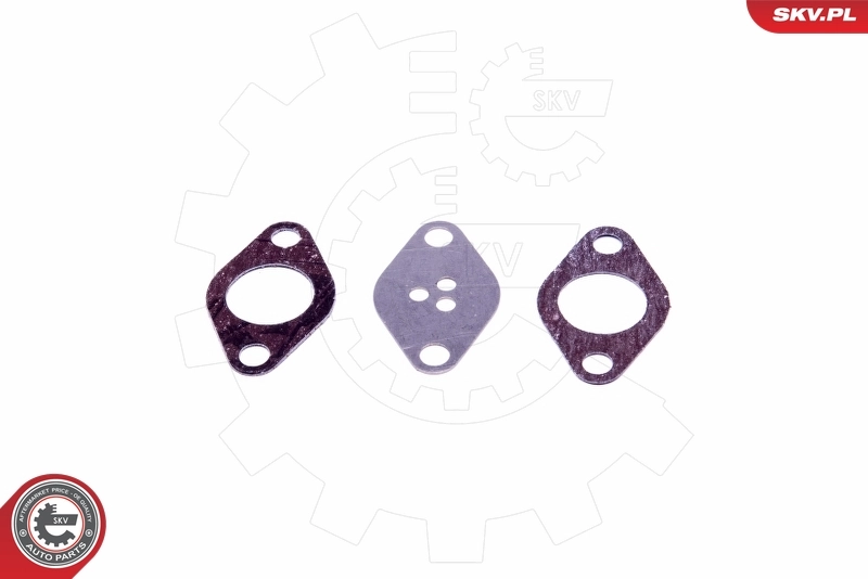 ESEN SKV 14SKV525 Repair Set, EGR valve