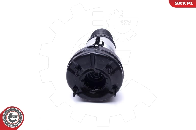 Air Suspension Strut 58SKV070