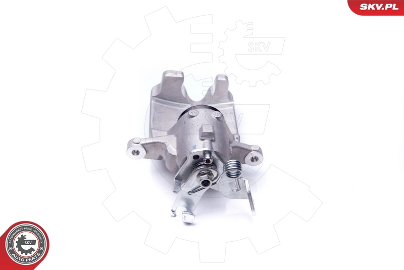 Brake Caliper 42SKV064