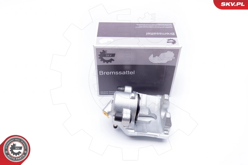 Brake Caliper 42SKV021