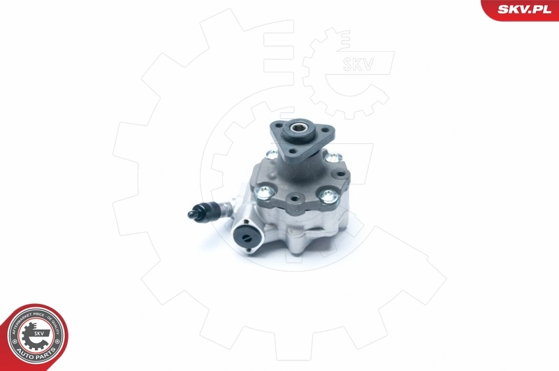 Hydraulic Pump, steering 10SKV184