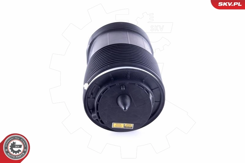 Air Spring, suspension 58SKV033