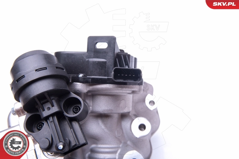 EGR Valve 14SKV157