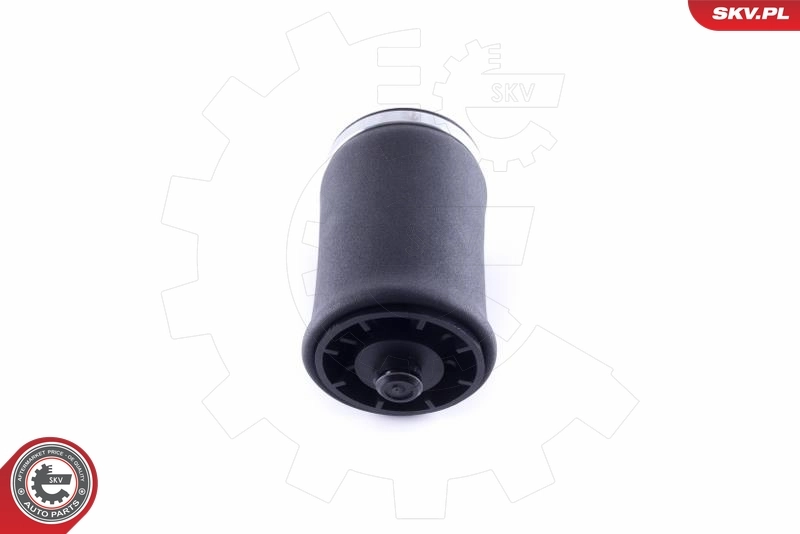 Air Spring, suspension 58SKV004