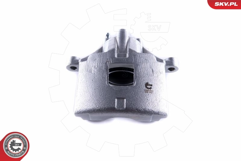 Brake Caliper 55SKV462