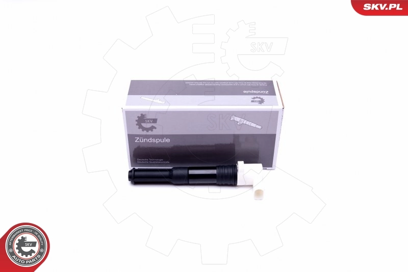 Ignition Coil 03SKV286