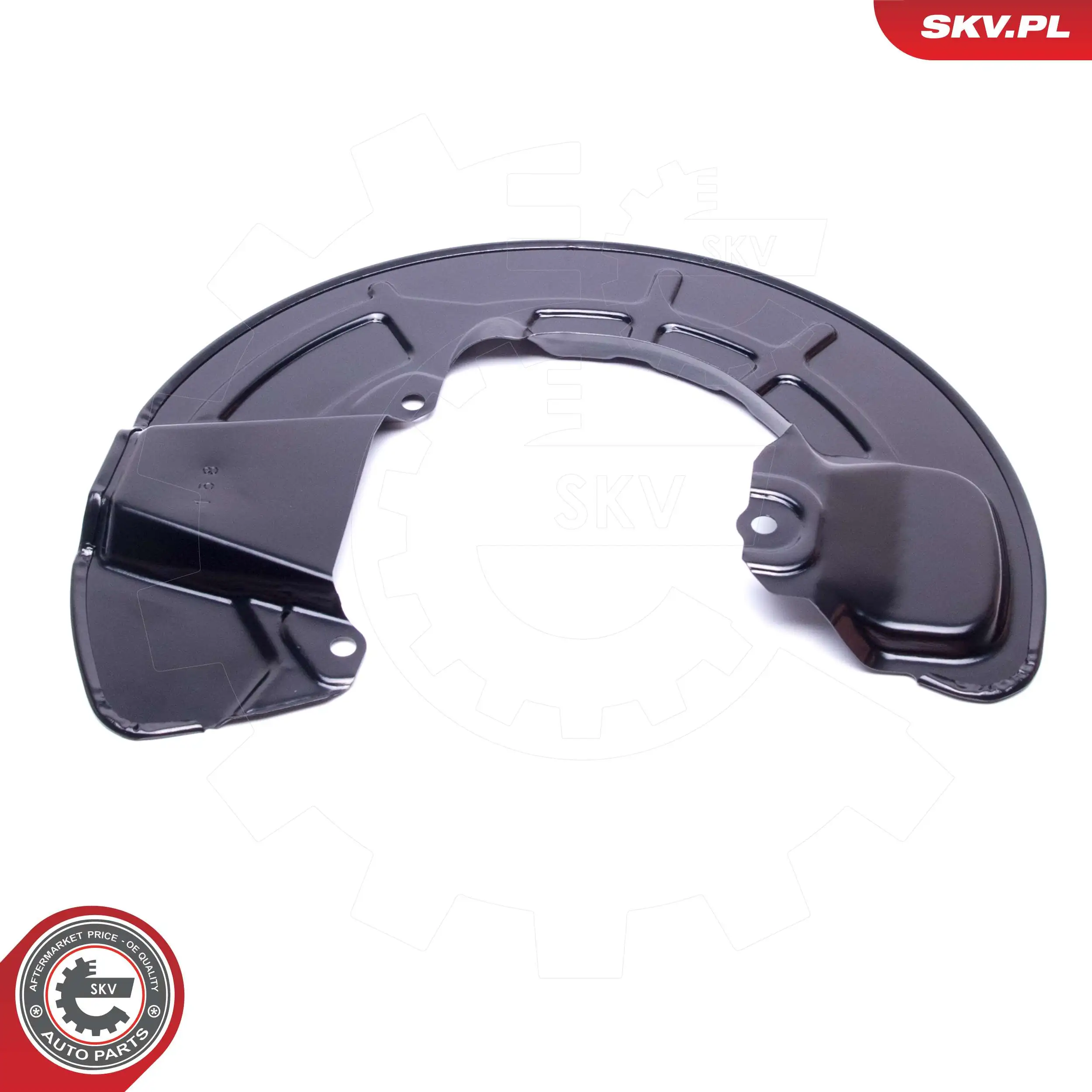 Splash Guard, brake disc 57SKV181