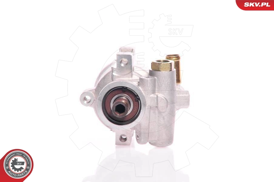 Hydraulic Pump, steering 10SKV126