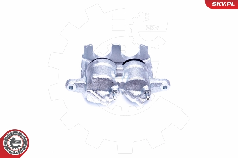 Brake Caliper 42SKV721