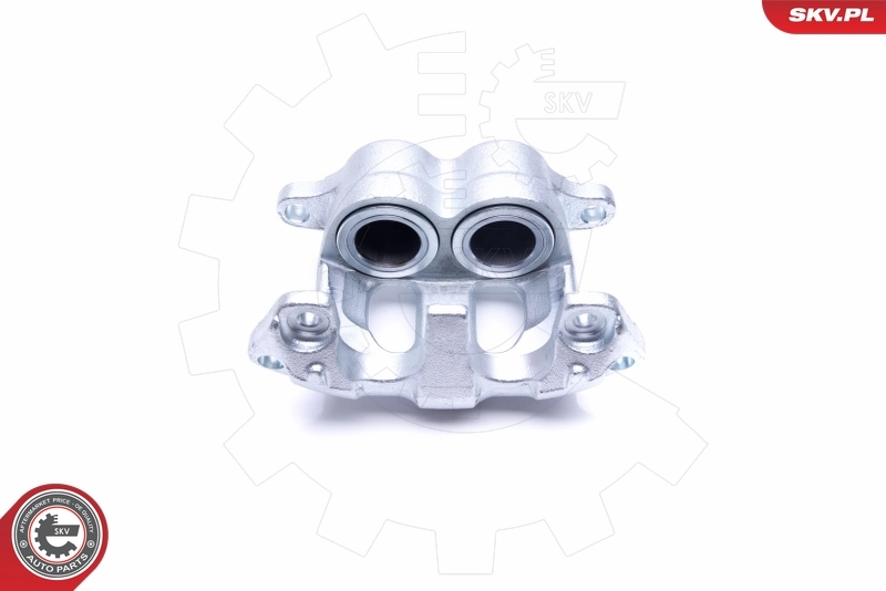Brake Caliper 46SKV092