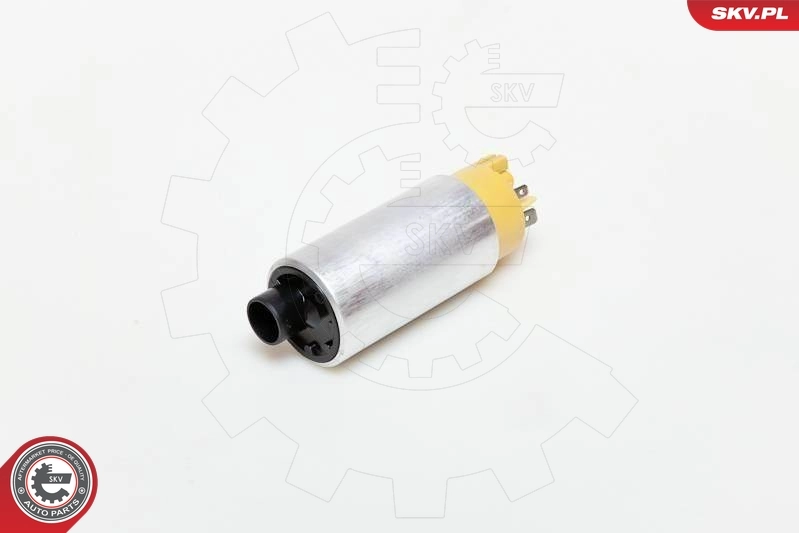 Fuel Pump 02SKV248