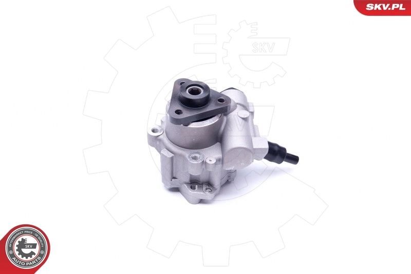 Hydraulic Pump, steering 10SKV249