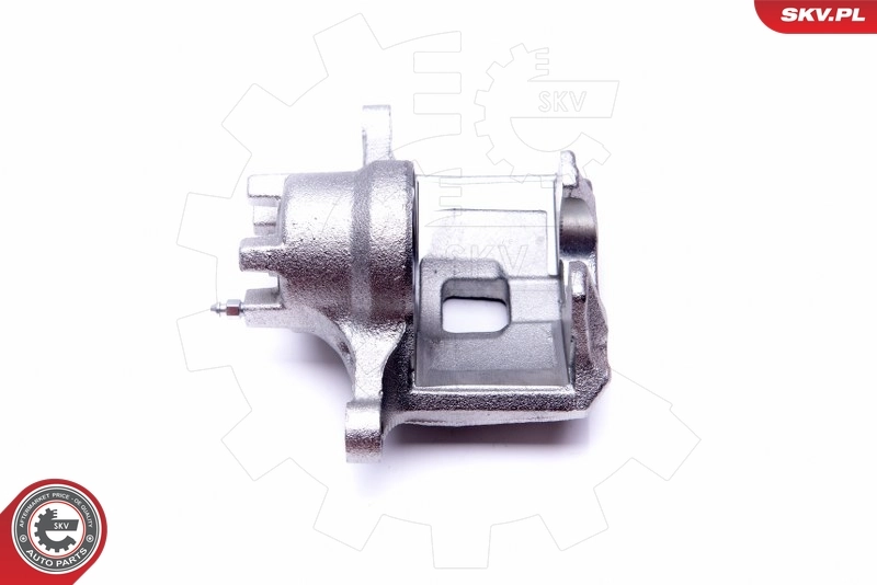 Brake Caliper 45SKV821