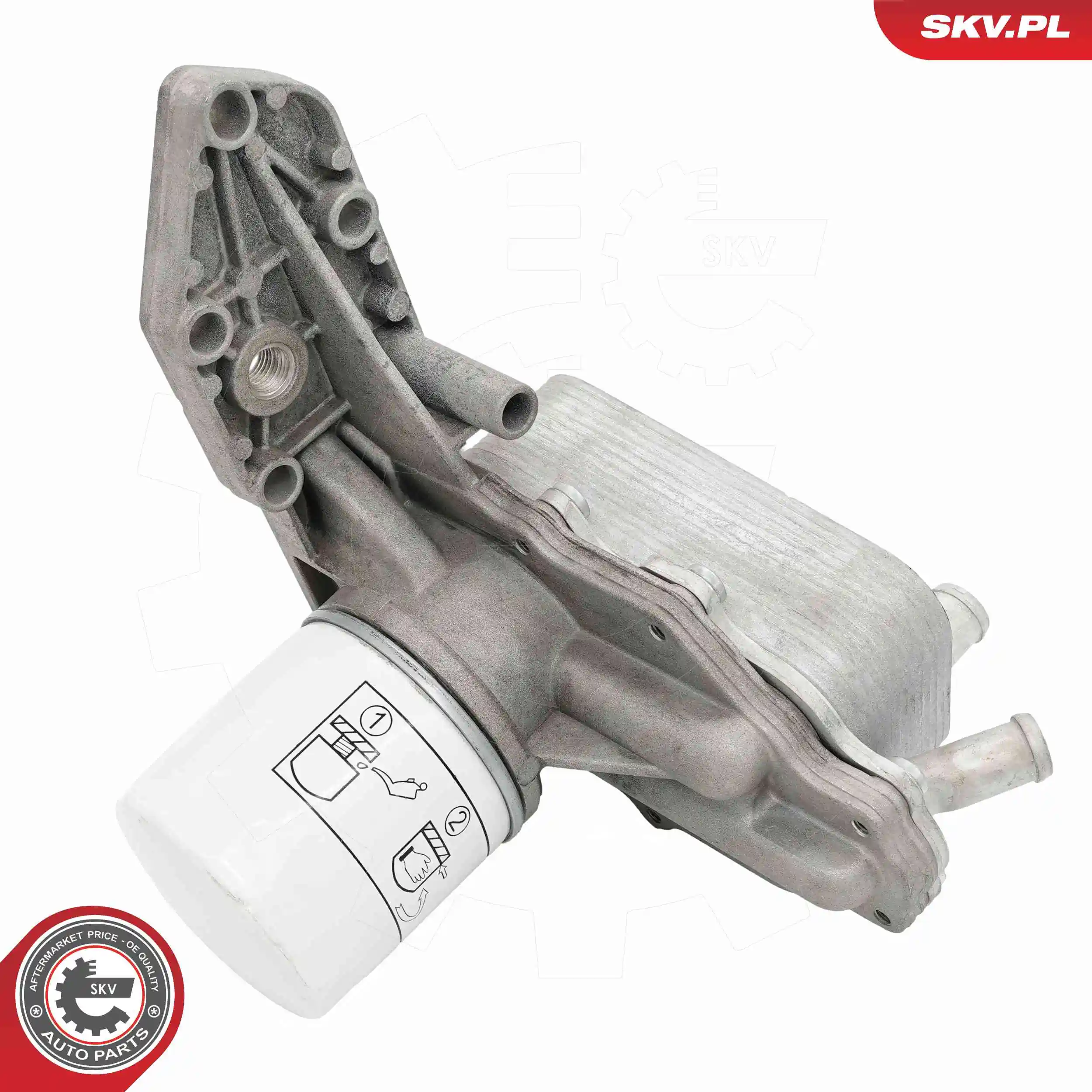 Oil Cooler, engine oil 31SKV340