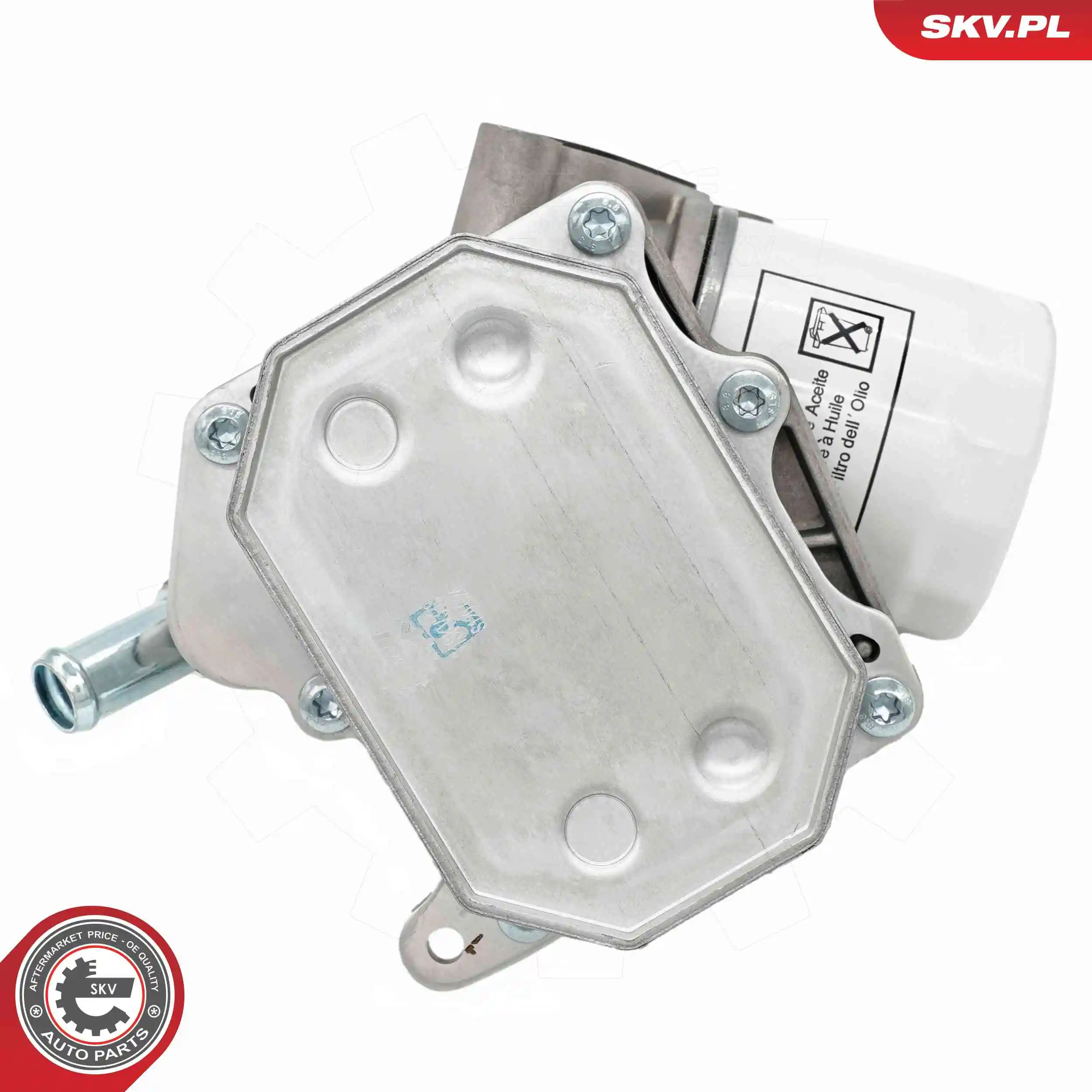 Oil Cooler, engine oil 31SKV338