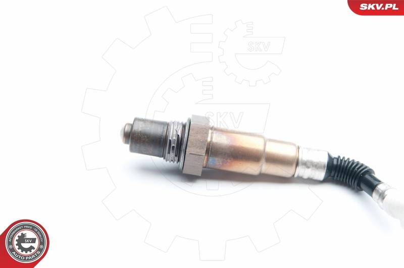 Oxygen Sensor 09SKV993