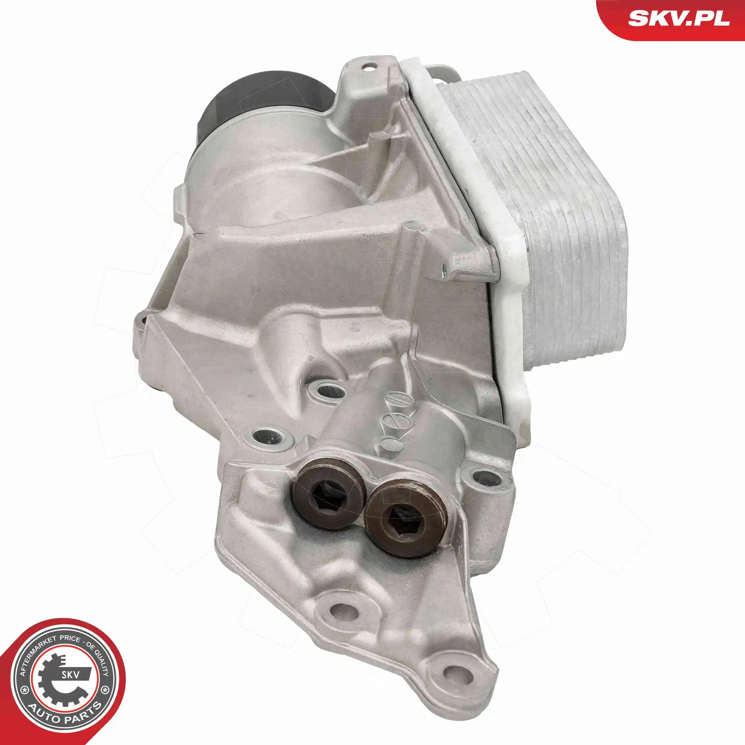 Oil Cooler, engine oil 31SKV324