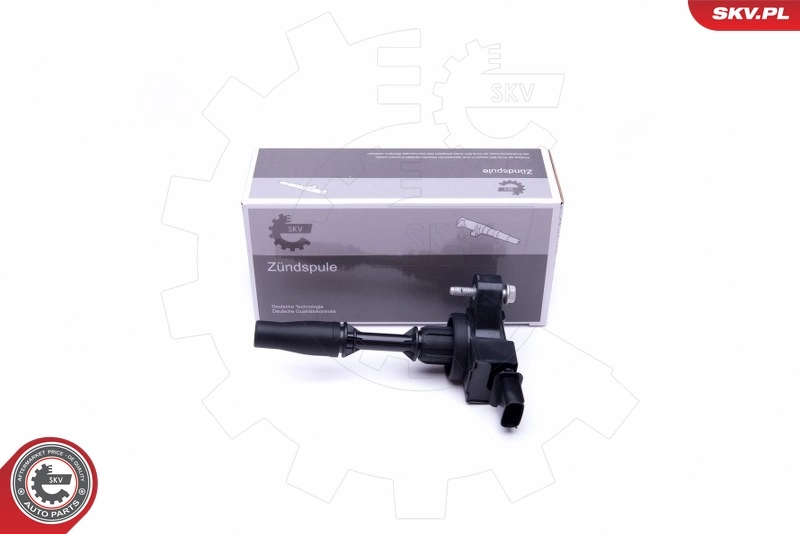 Ignition Coil 03SKV295
