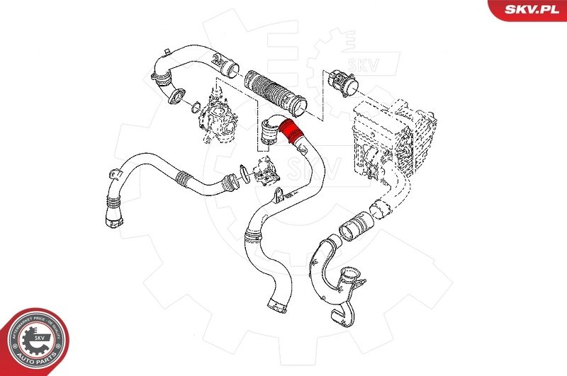 Charge Air Hose 24SKV811