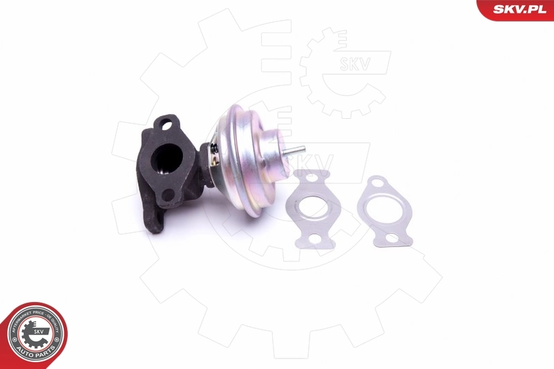 EGR Valve 14SKV204