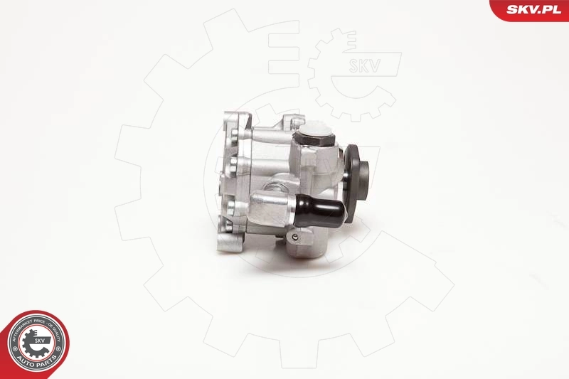 Hydraulic Pump, steering 10SKV124