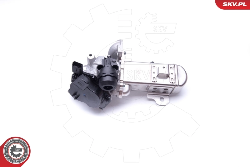 EGR Valve 14SKV157