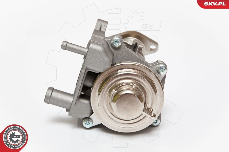 EGR Valve 14SKV063