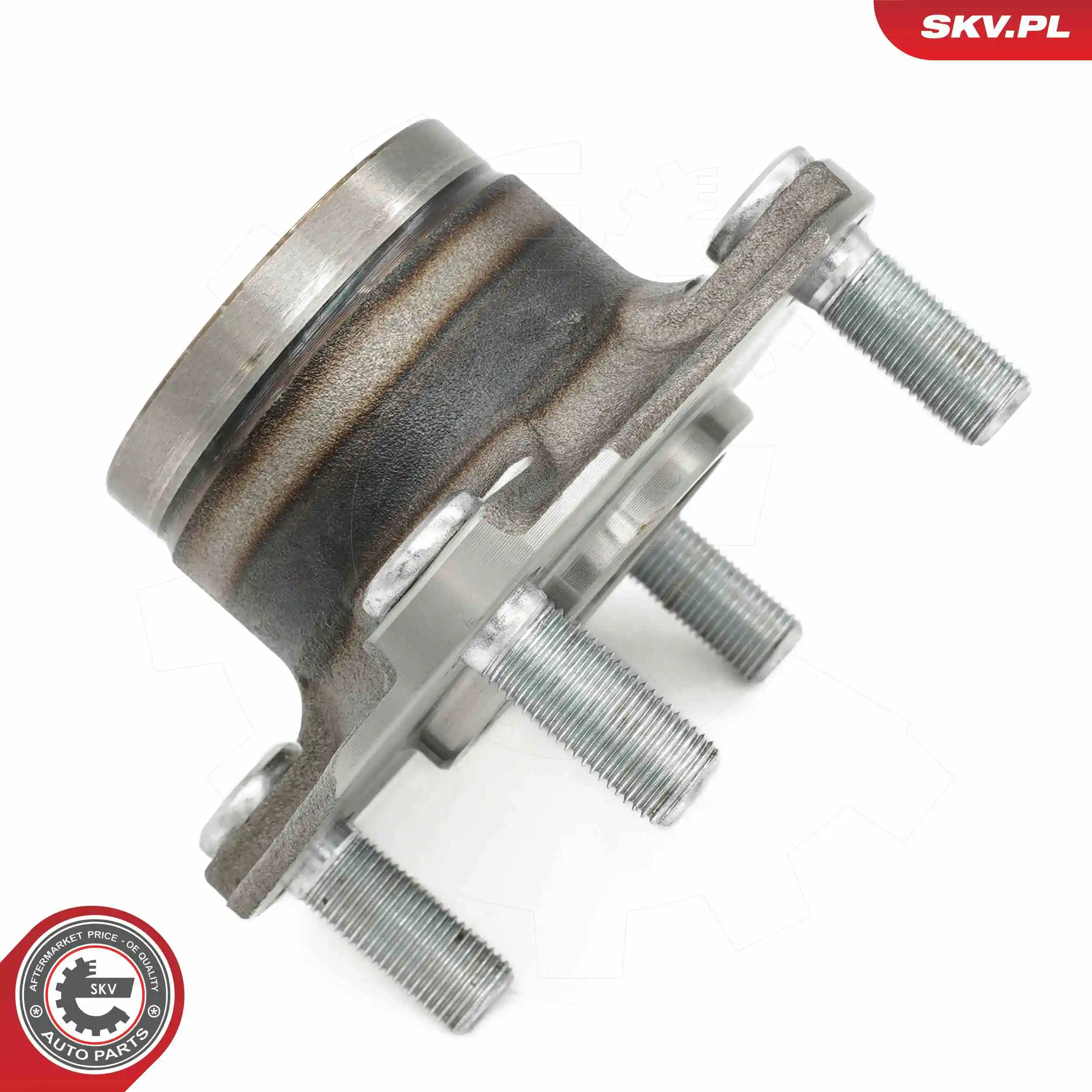 ESEN SKV 29SKV665 Wheel Bearing Kit
