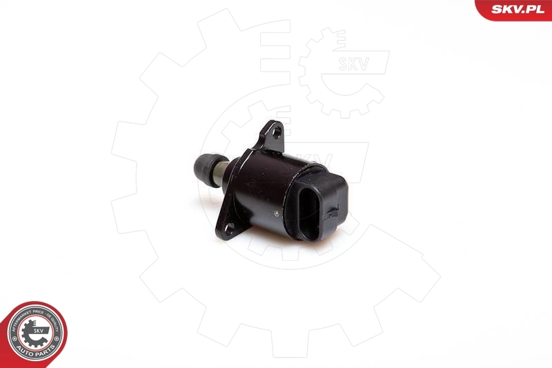 ESEN SKV 08SKV011 Idle Control Valve, air supply