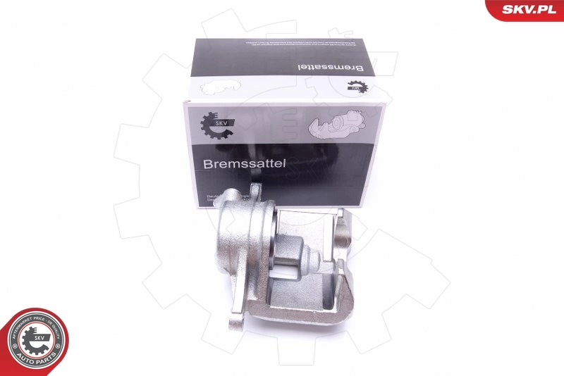 Brake Caliper 45SKV701